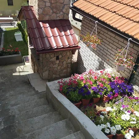 Sanja Sarajevo